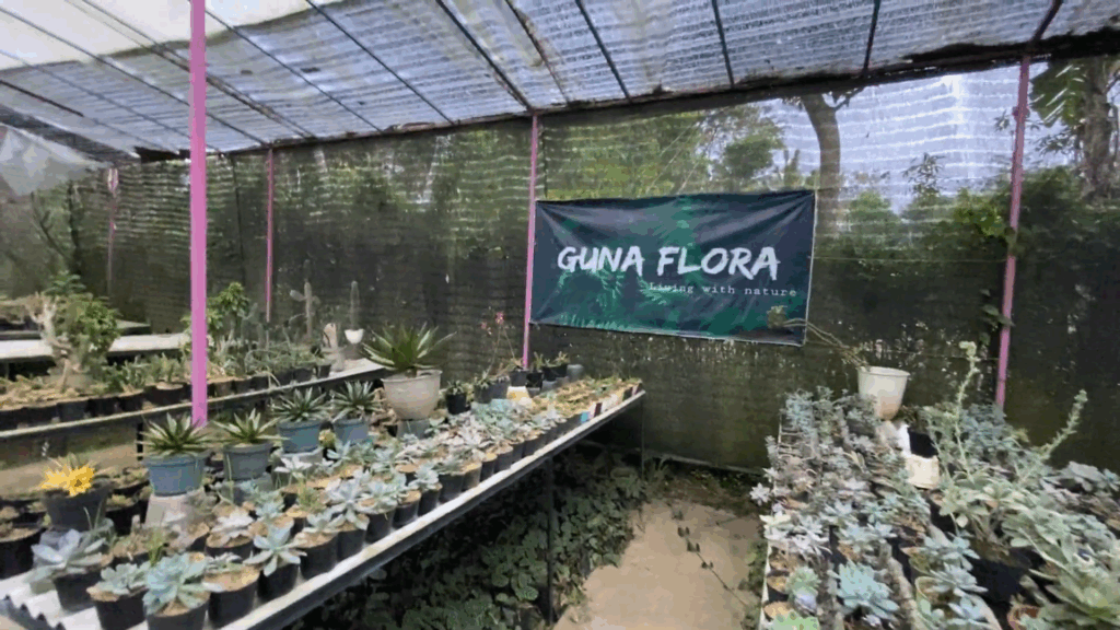 Screenshot 2025-10-15 095155