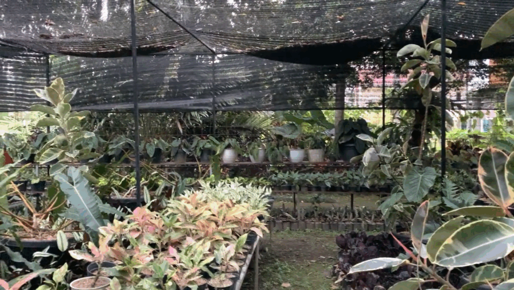 Screenshot 2025-10-15 130458